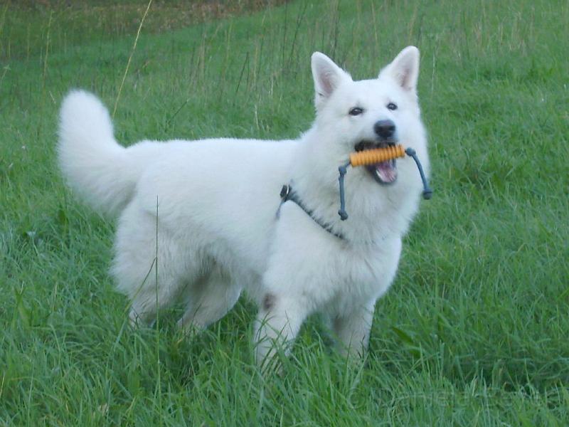 PICT0025.JPG - KONICA MINOLTA DIGITAL CAMERA