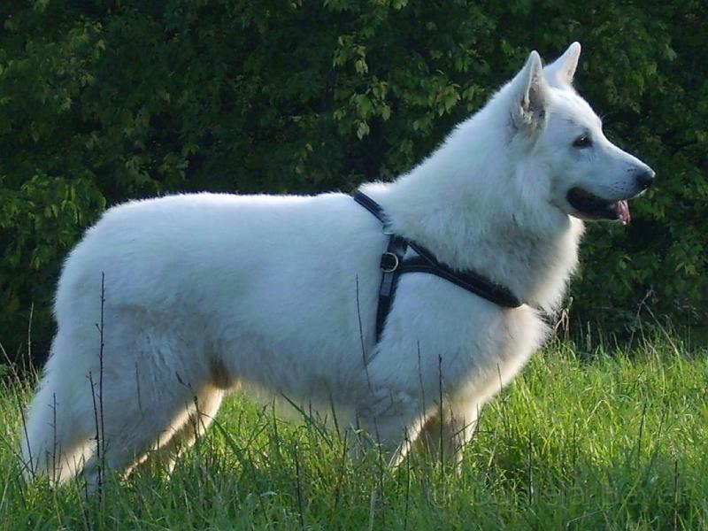 PICT0033.JPG - KONICA MINOLTA DIGITAL CAMERA