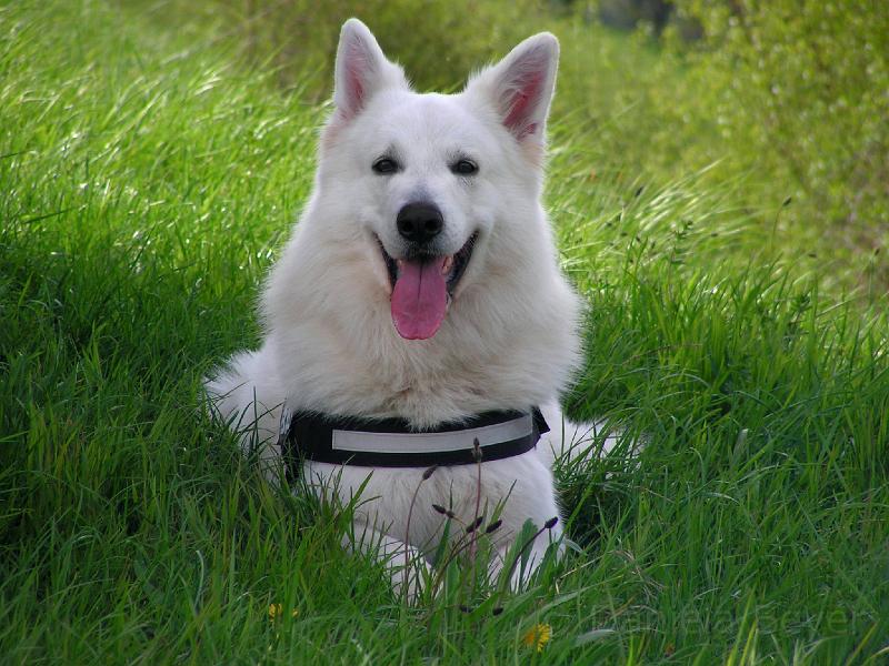 PICT1915b.jpg - KONICA MINOLTA DIGITAL CAMERA