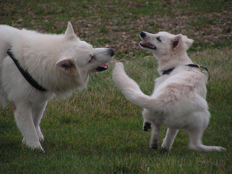 PICT2443.JPG - KONICA MINOLTA DIGITAL CAMERA