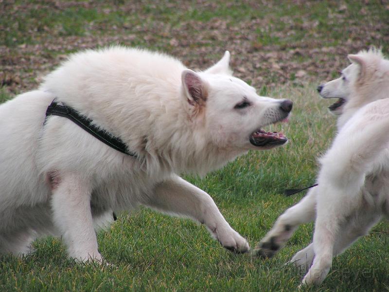 PICT2444.JPG - KONICA MINOLTA DIGITAL CAMERA