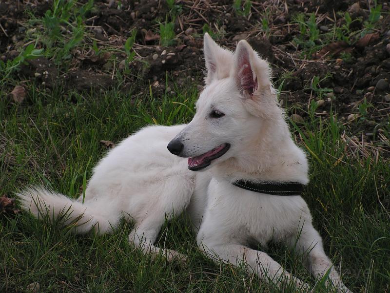 PICT2461.JPG - KONICA MINOLTA DIGITAL CAMERA