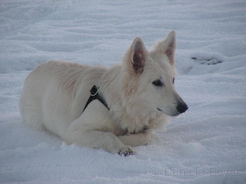 PICT2674.JPG - KONICA MINOLTA DIGITAL CAMERA