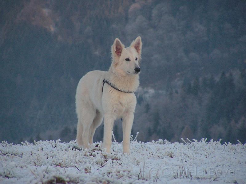 PICT2698.JPG - KONICA MINOLTA DIGITAL CAMERA