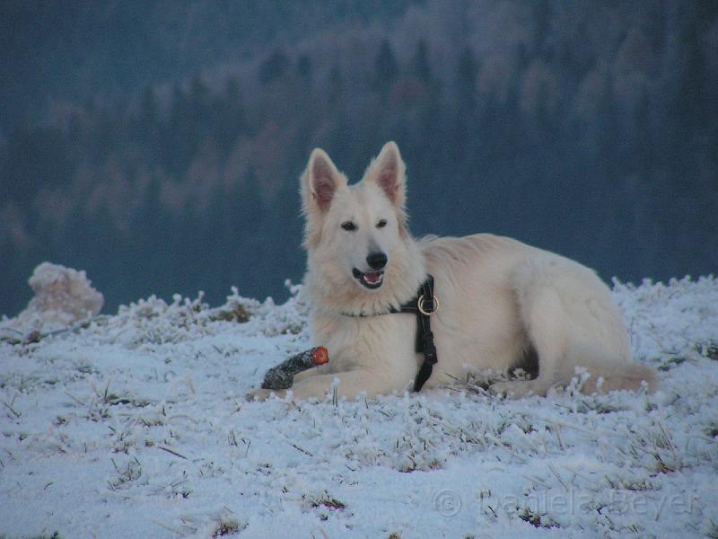 PICT2700.JPG - KONICA MINOLTA DIGITAL CAMERA