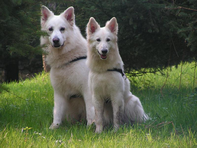 PICT3026.JPG - 01. April 09...erster Frühlingsspaziergang :-)