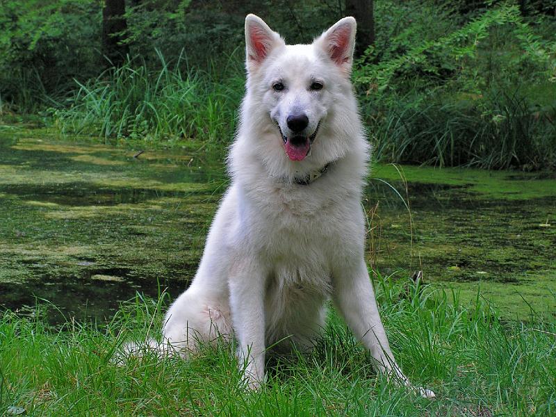 galerie-1.jpg - KONICA MINOLTA DIGITAL CAMERA