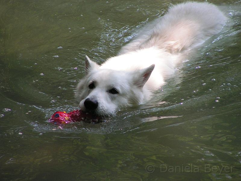 galerie-11.jpg - KONICA MINOLTA DIGITAL CAMERA