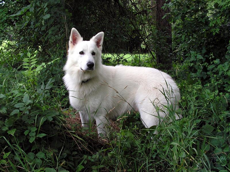 galerie-13.jpg - KONICA MINOLTA DIGITAL CAMERA