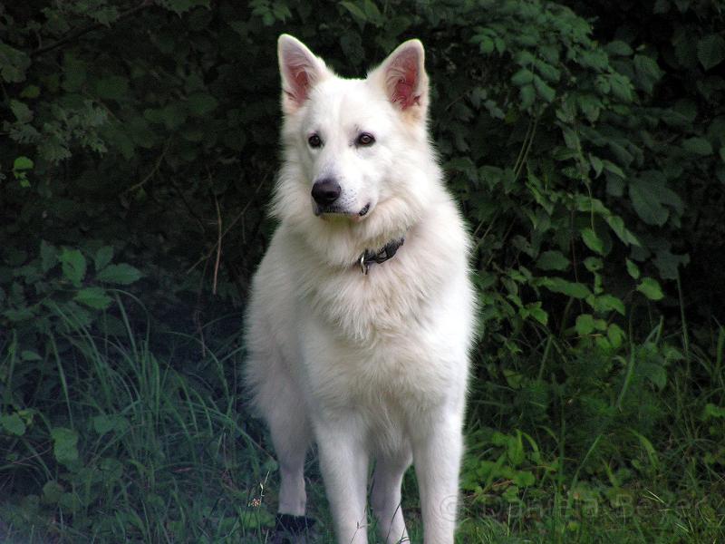 galerie-14.jpg - KONICA MINOLTA DIGITAL CAMERA