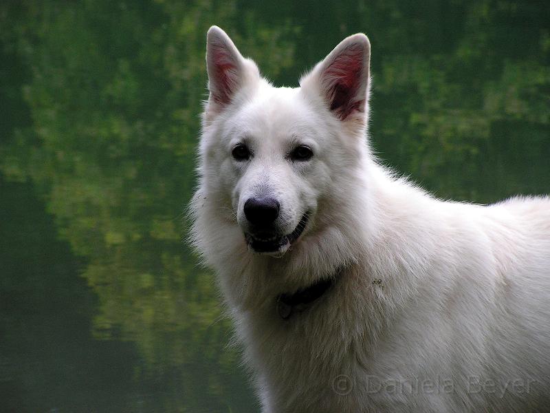 galerie-15.jpg - KONICA MINOLTA DIGITAL CAMERA