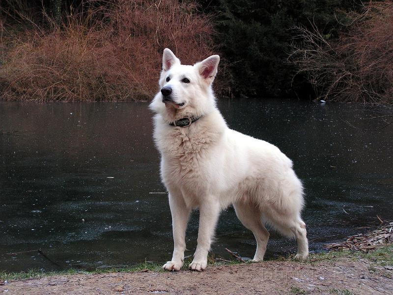 galerie-17.jpg - KONICA MINOLTA DIGITAL CAMERA