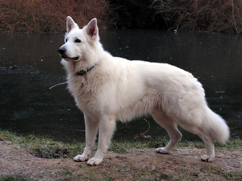 galerie-18.jpg - KONICA MINOLTA DIGITAL CAMERA