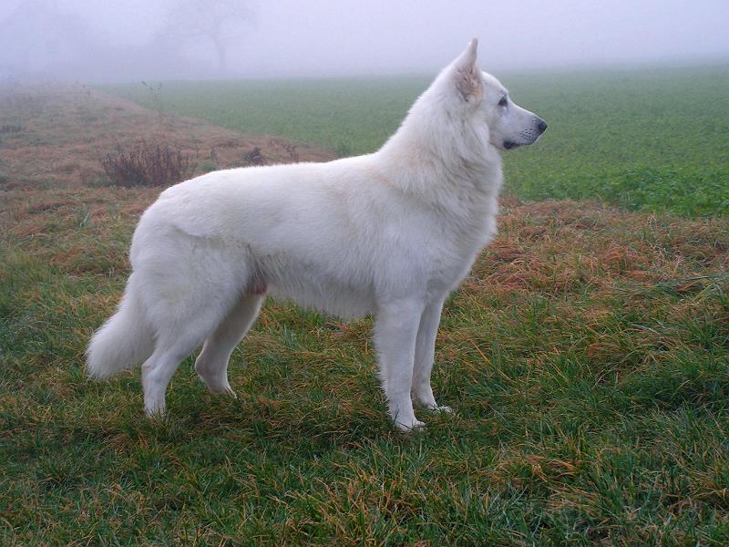 galerie-29.jpg - KONICA MINOLTA DIGITAL CAMERA