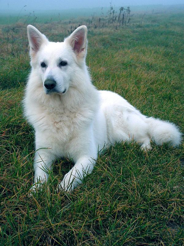 galerie-30.jpg - KONICA MINOLTA DIGITAL CAMERA