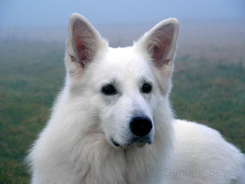 galerie-31.jpg - KONICA MINOLTA DIGITAL CAMERA