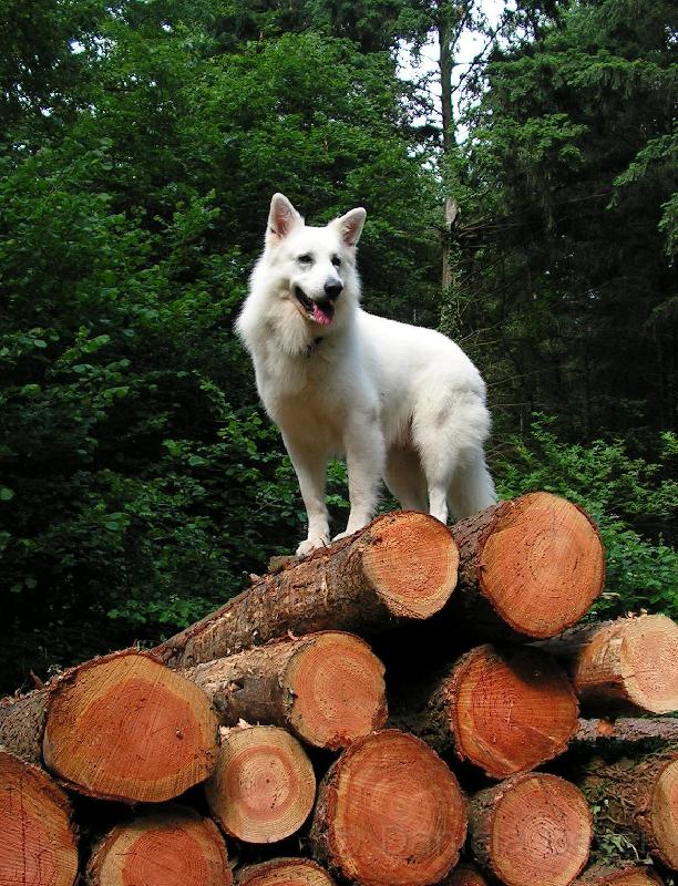 galerie-32.jpg - KONICA MINOLTA DIGITAL CAMERA