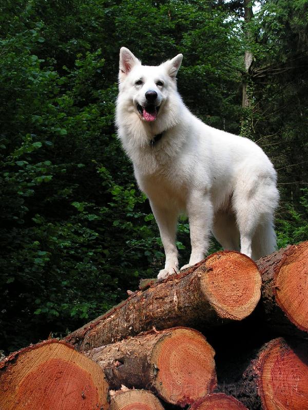 galerie-33.jpg - KONICA MINOLTA DIGITAL CAMERA