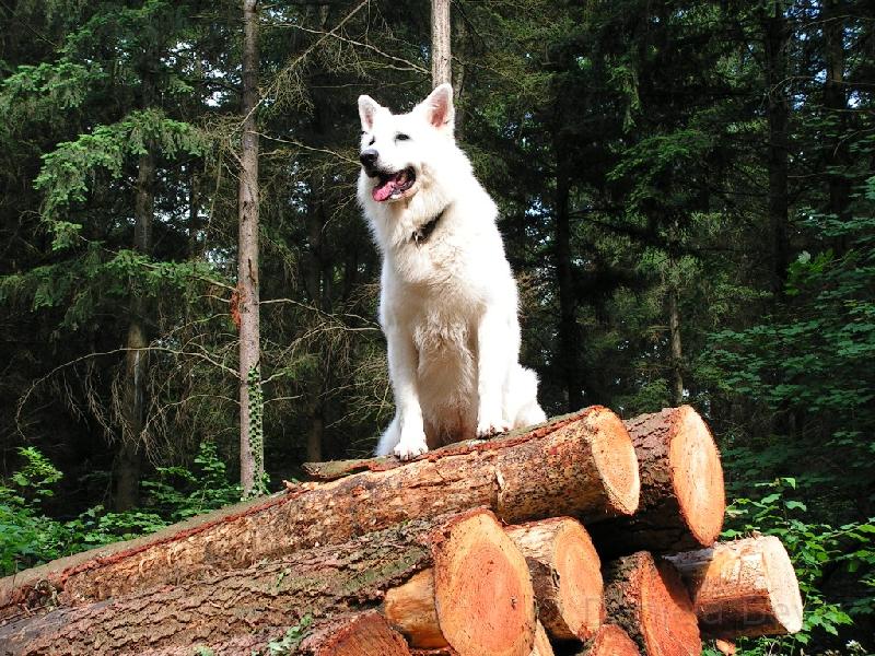 galerie-34.jpg - KONICA MINOLTA DIGITAL CAMERA