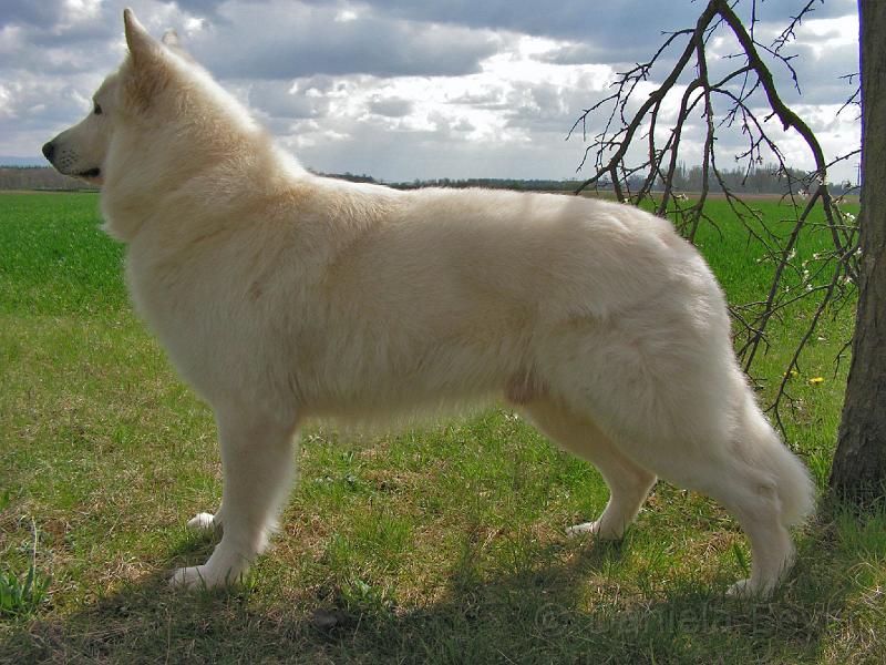 galerie-36.jpg - KONICA MINOLTA DIGITAL CAMERA