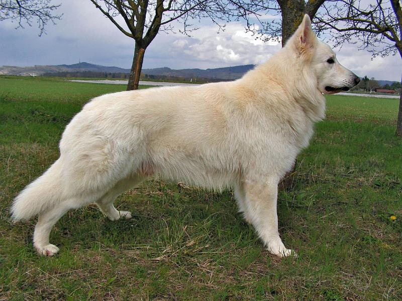 galerie-37.jpg - KONICA MINOLTA DIGITAL CAMERA