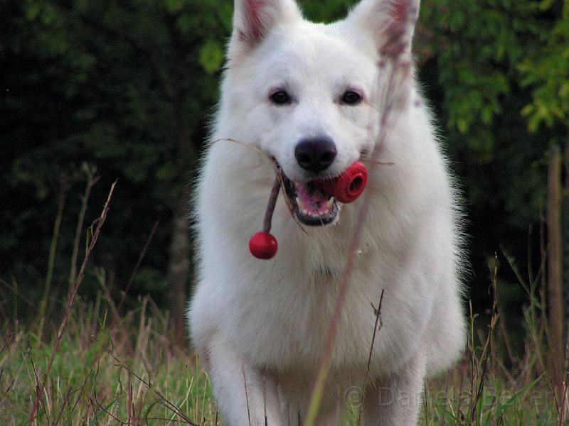 galerie-3b.jpg - KONICA MINOLTA DIGITAL CAMERA