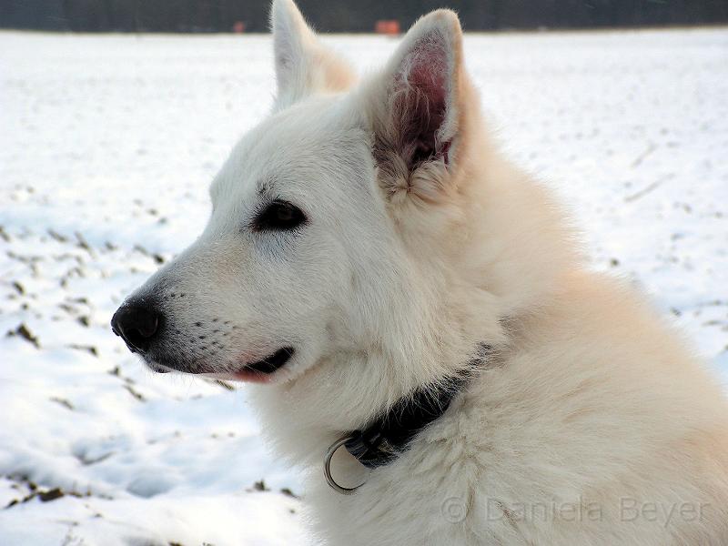 galerie-8.jpg - KONICA MINOLTA DIGITAL CAMERA