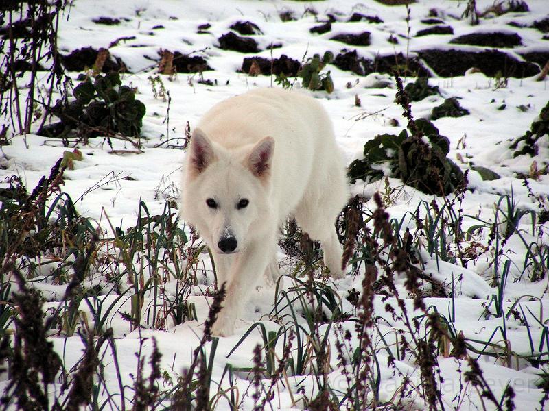 galerie-9.jpg - KONICA MINOLTA DIGITAL CAMERA