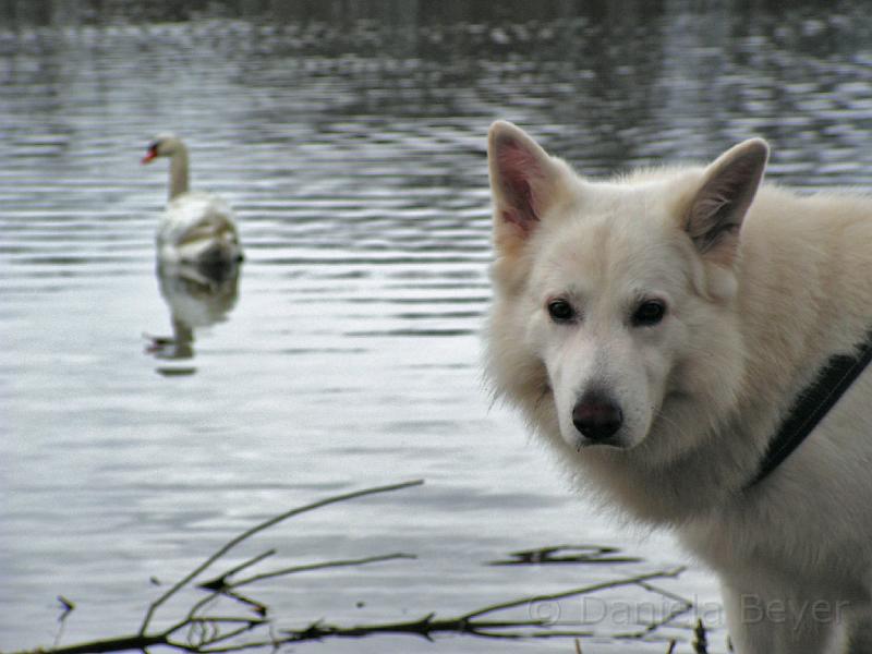 snow.jpg - KONICA MINOLTA DIGITAL CAMERA